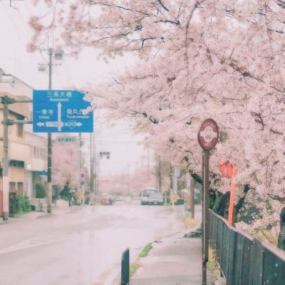 bd体育地址