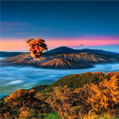星空体育在线网页版