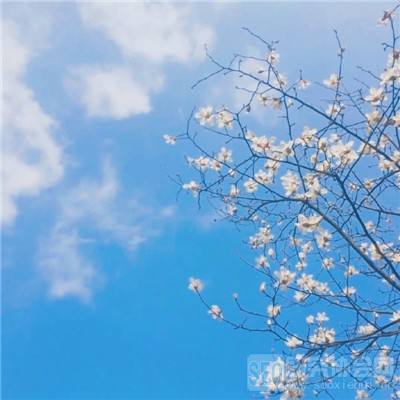 博鱼app官网下载