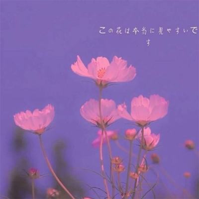 许悦福