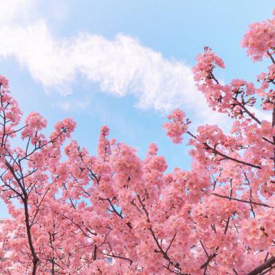 快3彩票官方下载