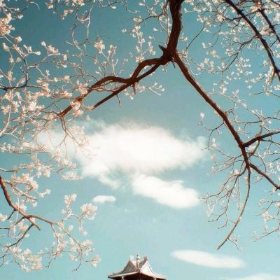 半岛·综合体育APP